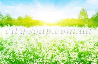 Отдушка "Flower Paradise":Отдушки Украина | https://city-soap.com.ua