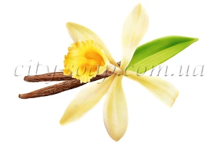 Отдушка "Vanilla Cream":Отдушки Украина | https://city-soap.com.ua